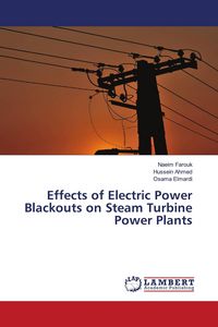 Produktbild: Effects of Electric Power Blackouts on Steam Turbine Power Plants