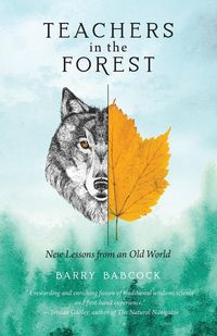 Produktbild: Babcock, B: Teachers in the Forest
