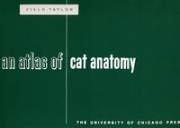 Produktbild: Atlas Of Cat Anatomy Revised E