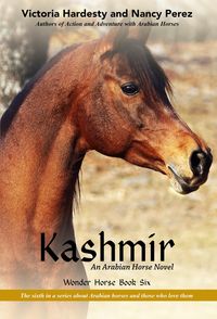 Produktbild: Kashmir
