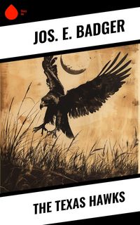 Produktbild: The Texas Hawks