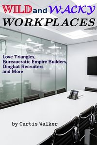 Produktbild: Wild and Wacky Workplaces