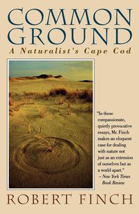 Produktbild: Common Ground