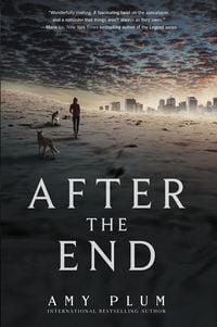 Produktbild: After the End
