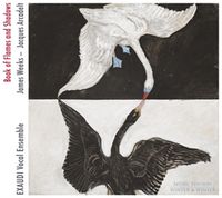 Produktbild: Book Of Flames And Shadows