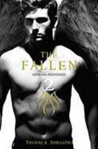 Produktbild: The Fallen 2