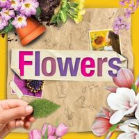 Produktbild: Flowers