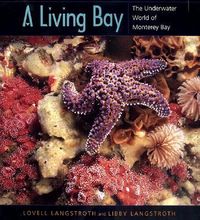 Produktbild: Uc Press/monterey Bay Aquarium