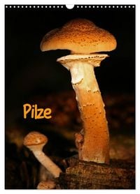 Produktbild: Pilze (Wandkalender 2027 DIN A3 hoch), CALVENDO Monatskalender