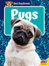 Produktbild: Pugs
