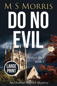 Produktbild: Do No Evil (Large Print)