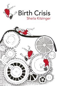 Produktbild: Birth Crisis