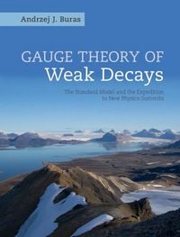 Produktbild: Gauge Theory of Weak Decays