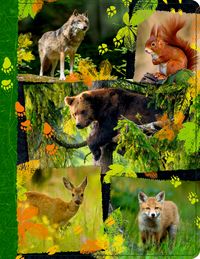 Bild vom Artikel Coppenrath - Nature Zoom - Tagebuch mit Reißverschluss - Waldtiere vom Autor 
