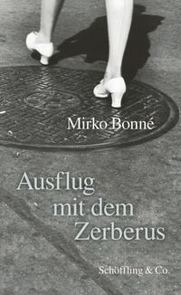 Produktbild: Ausflug mit dem Zerberus