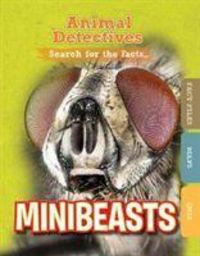 Produktbild: O'Daly, A: Minibeasts