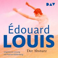 Produktbild: Der Absturz