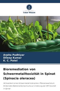 Produktbild: Bioremediation von Schwermetalltoxizit&auml;t in Spinat (Spinacia oleracea)