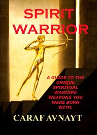 Produktbild: Spirit Warrior