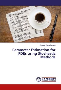 Produktbild: Parameter Estimation for PDEs using Stochastic Methods