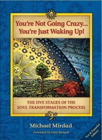 Produktbild: You're Not Going Crazy . . . You're Just Waking Up!