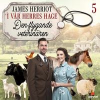 Produktbild: Den flygande veterin&auml;ren