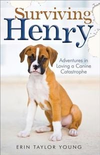 Produktbild: Surviving Henry