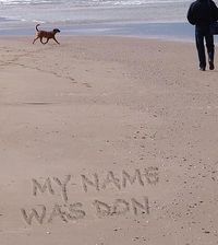 Produktbild: My Name Was Don
