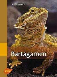 Produktbild: Bartagamen
