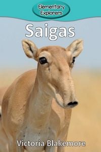Produktbild: Saigas