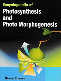 Produktbild: Encyclopaedia Of Photosynthesis And Photo Morphogenesis