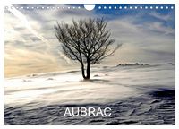 Produktbild: AUBRAC (Calendrier mural 2026 DIN A4 vertical), CALVENDO calendrier mensuel
