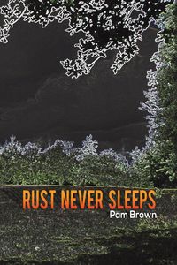 Produktbild: Rust Never Sleeps