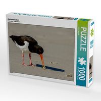 Produktbild: CALVENDO Puzzle Austernfischer | 1000 Teile Lege-Gr&ouml;&szlig;e 64x48cm Foto-Puzzle f&uuml;r gl&uuml;ckliche Stunden