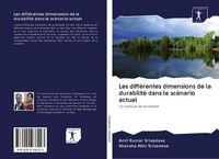 Produktbild: Les diff&eacute;rentes dimensions de la durabilit&eacute; dans le sc&eacute;nario actuel