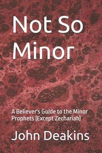 Produktbild: Not So Minor