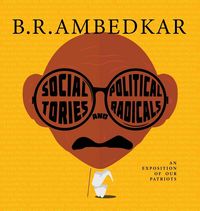 Produktbild: Social Tories and Political Radicals