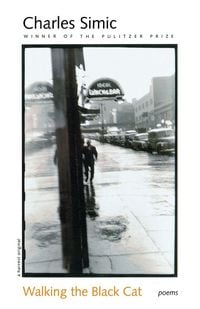 Produktbild: Walking the Black Cat