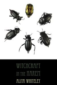Produktbild: Witchcraft in the Harem