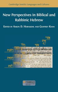 Produktbild: New Perspectives in Biblical and Rabbinic Hebrew