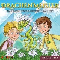 Produktbild: Drachenmeister (21)