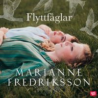 Produktbild: Flyttf&aring;glar