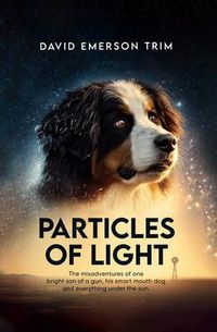 Produktbild: Particles of Light