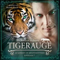 Produktbild: Tigerauge, Episode 7 - Fantasy-Serie