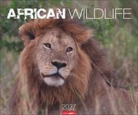 Produktbild: African Wildlife Kalender 2027