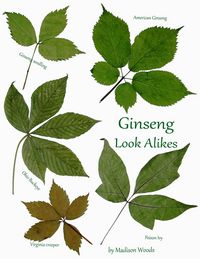 Produktbild: Ginseng Look-Alikes