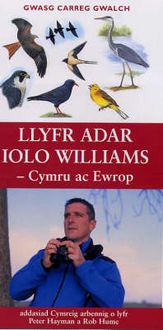 Produktbild: Hayman, P: Llyfr Adar Lolo Williams