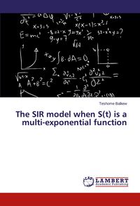 Produktbild: The SIR model when S(t) is a multi-exponential function
