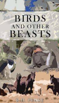 Produktbild: Birds and other Beasts
