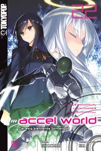 Produktbild: Accel World - Novel 22